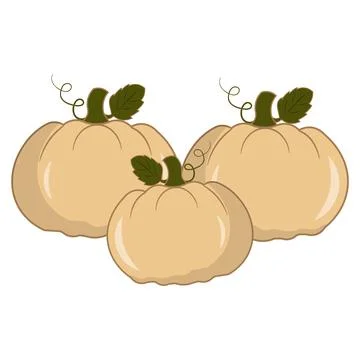 Cute flat vectors pumpkins with green leaves and curly vines Ilustración de archivo