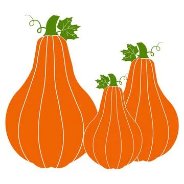 Cute flat vectors pumpkins with green leaves and curly vines Illustration