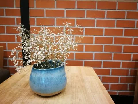 Cute flowers for decorations Stock Photos