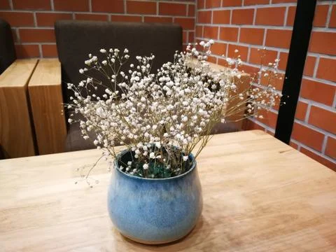 Cute flowers for decorations Stock Photos