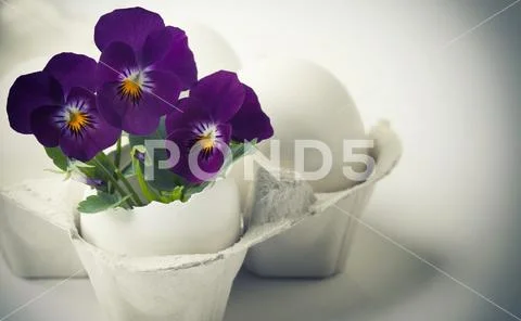 Cute flowers in egg shells for Easter Stock Photos