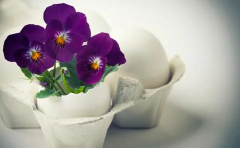 Cute flowers in egg shells for Easter Stock Photos