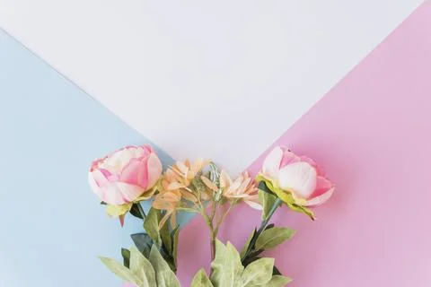 Cute flowers multicolored background Stock Photos