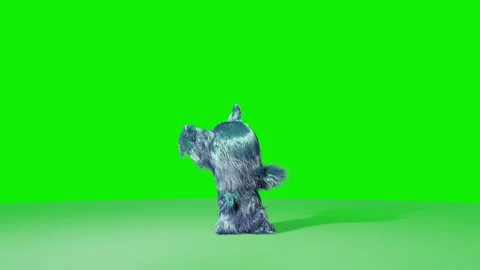 Cute fluffy blue hairy character dancing, Green Screen Chromakey Stock Footage 334102001
