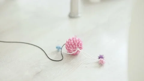 Cute fluffy kitten attack ball on string in slow mov 4K Stock Footage 222099069