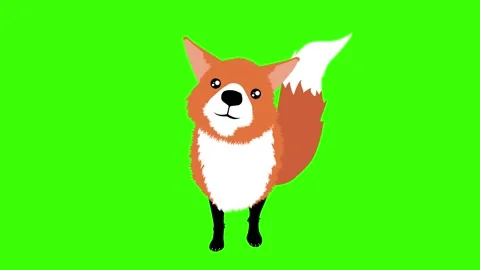 Cute Fluffy Red Fox Green Screen Stock Footage 137276919