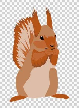 A cute fluffy red squirrel gnawing on a nut Stock Illustration
