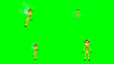 Cute flying honey bee insects with little wings and happy smiling animations Stock Footage 334703177