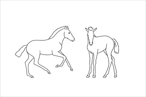 Cute foals, vector illustration, drawn with a line, coloring book Stock Illustration