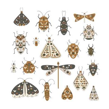 Cute folk insects set illustrations. Vector Moth, butterfly, bug, ant, gragonfly Stock Illustration