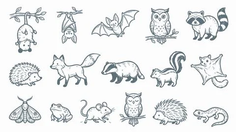 Cute forest animals set featuring raccoon fox opossum owl hedgehog and squi.. Ilustración de archivo