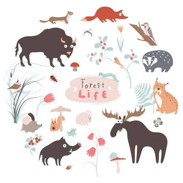 Cute forest animals vector set for kid prints Stock Illustration