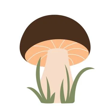 Cute forest mushroom in grass イラスト素材