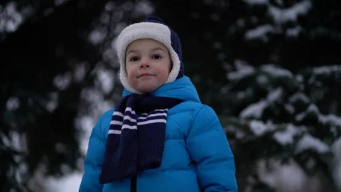 Cute four years old boy portrait on winter forest Stock Footage 122606825