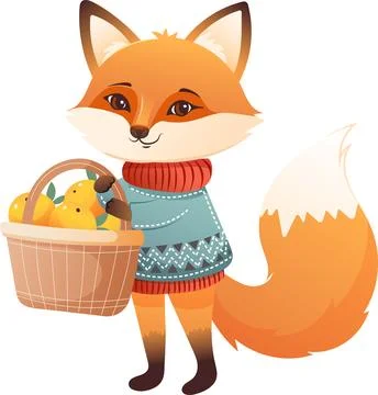 Cute fox character in sweater with oranges Stock Illustration