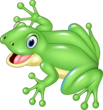 Cute frog isolated on white background Stock Illustration