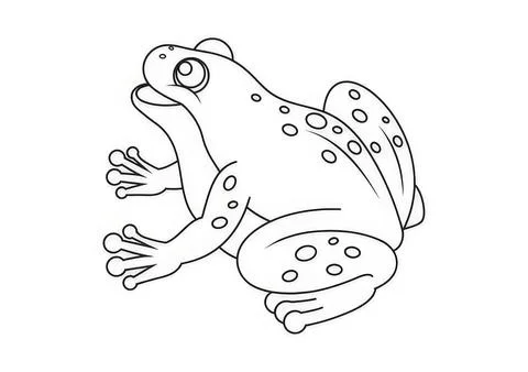 Cute frog sitting on a plain white background Stock Illustration
