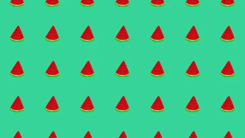 Cute Fruit Illustration Loop Video Background - Watermelon - 5 Color Set Stock Footage 332463051