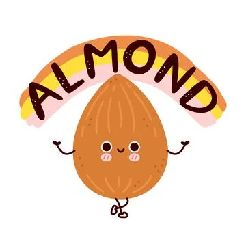 Cute funny almond nut. Vector flat line cartoon kawaii character illustration Stock Illustration