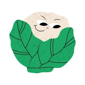 Cute funny cauliflower character. Stock Illustration