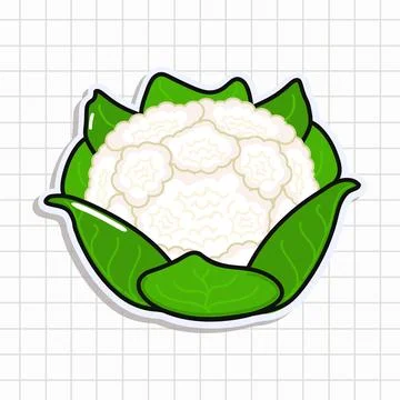 Cute funny Cauliflower sticker. Vector hand drawn cartoon kawaii character .. Stock Illustration