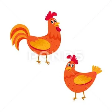 Cute, funny couple of farm rooster and hen, two chicken Stock Illustration