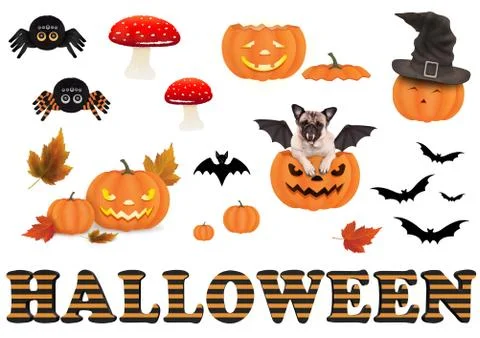 Cute funny halloween decoration elements, isolated on white background Stock Photos