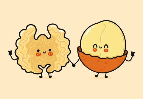 Cute, funny happy walnut and macadamia character. Vector hand drawn cartoon k Stock Illustration