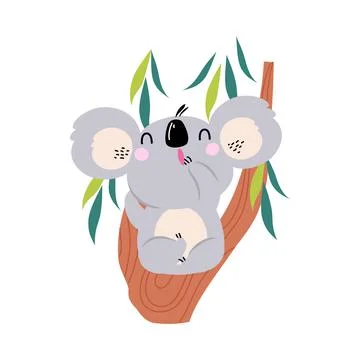 Cute Funny Koala Sitting on Eucalyptus Tree, Lovely Australian Animal Cartoon 스톡 일러스트