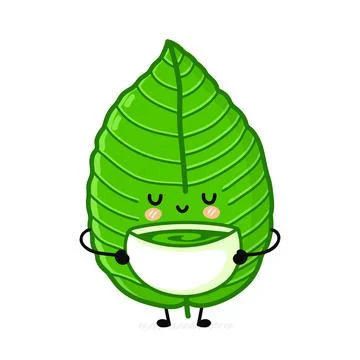 Cute funny kratom leaf drink tea from bowl character. Vector flat line cartoon Stock Illustration