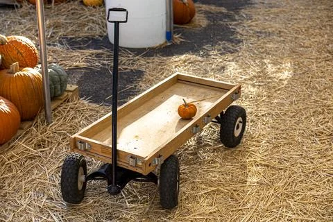 Cute Funny Tiny Pumpkin on a Push Cart with Straw Hay on Ground Stock Photos