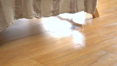 Cute ginger cat lying in bed under a blanket. Fluffy pet comfortably settled to Stock Footage 105238621