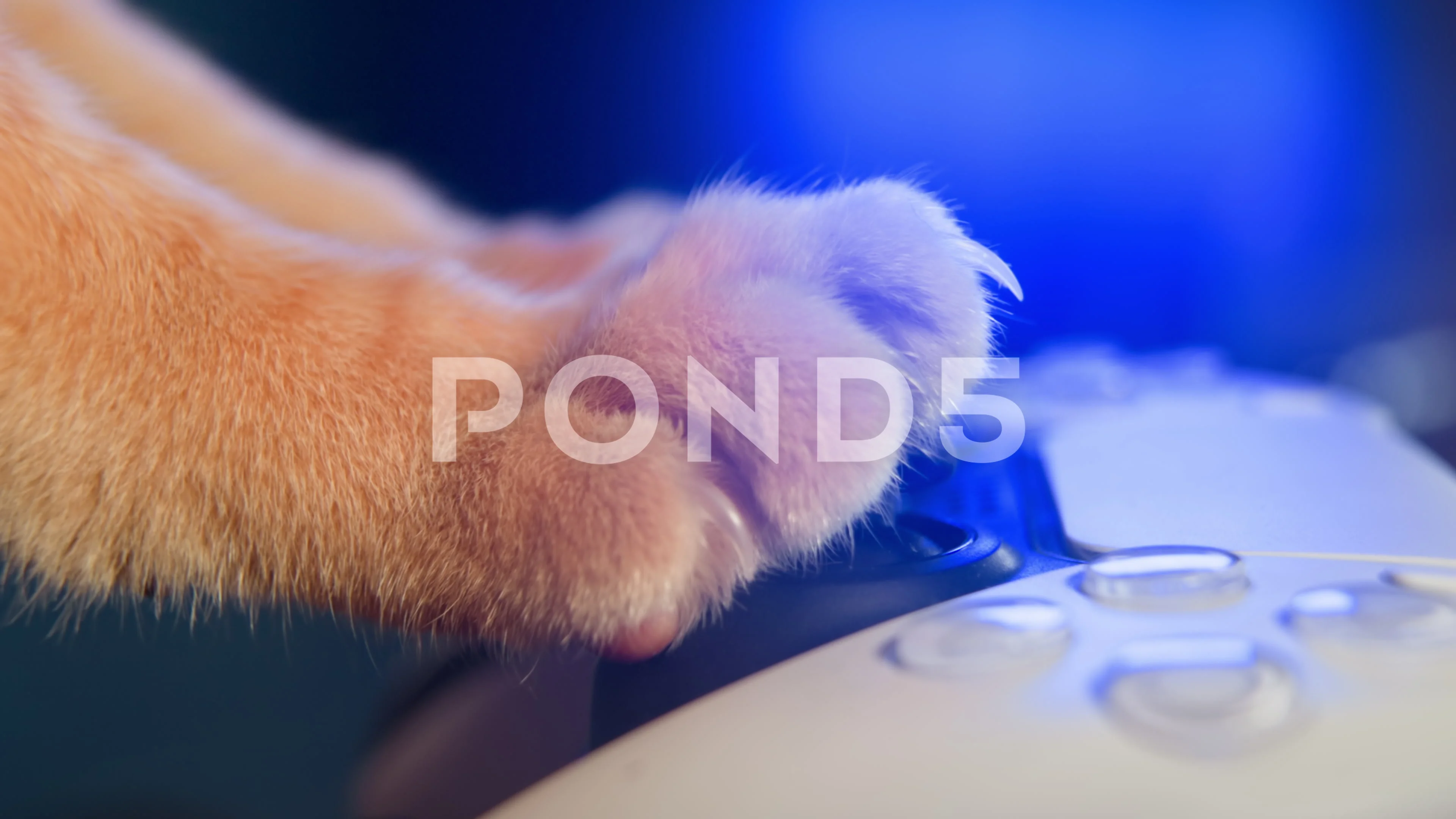 A cute ginger cat paw playing video game using joystick gamepad. Close-up  gamer