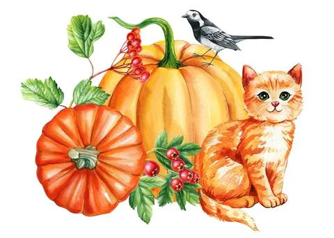 Cute ginger kitten, pumpkin, bird and flowers, watercolor hand drawing. Autumn Stock Illustration