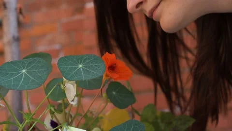 Cute girl gently sniffs a red flower in the city covering her eyes Stock Footage 139191748