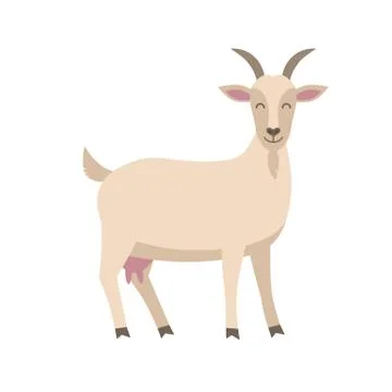 Cute goat vector flat illustration isolated on white background. Farm animal Stock-Illustration