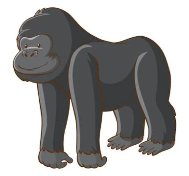 Cute gorilla on white background 스톡 일러스트
