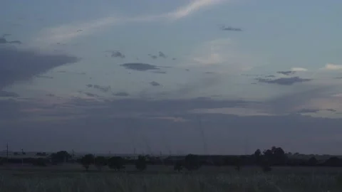 Cute Grass slow movement on close sunset Stock Footage 201638995