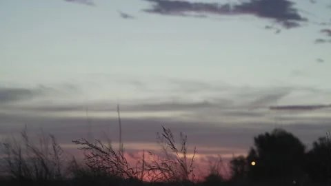 Cute Grass slow movement on sunset passed Stock Footage 201639141