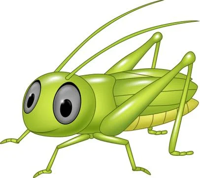 Cute grasshopper posing isolated on white background Stock Illustration