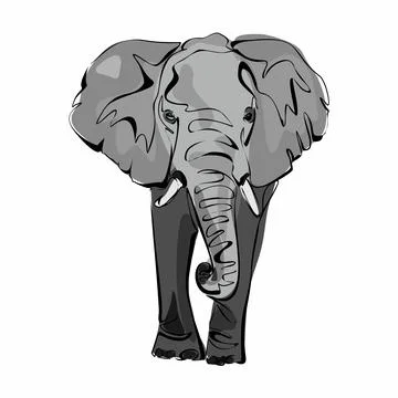 Cute gray elephant isolated on white background. Wild animal with large ear.. Stock Illustration