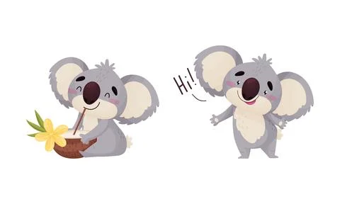 Cute Gray Koala Bear Greeting and Drinking Coconut Cocktail Vector Set Stock Illustration