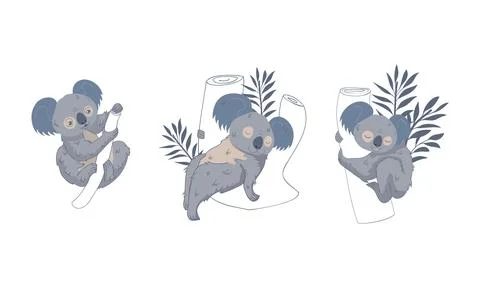 Cute Gray Koala Bear Sitting on Eucalypt Tree Trunk Vector Set 스톡 일러스트