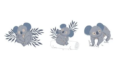 Cute Gray Koala Bear Sitting on Eucalypt Tree Trunk and Sleeping Among Tropical 스톡 일러스트
