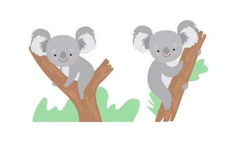 Cute Gray Koala Bear Sitting on Eucalypt Tree Trunk Vector Set Stock Illustration