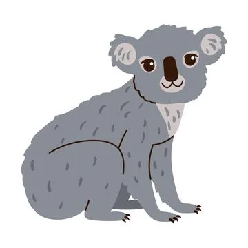Cute gray koala bear sitting and looking forward, isolated on a white backg.. Stock Illustration