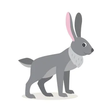 Cute gray rabbit hare isolated on white background Illustrazione stock