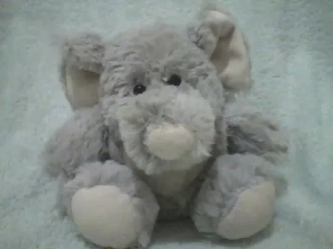 Cute gray stuffed elephant, it is so small and cute! Stock Footage 162146480