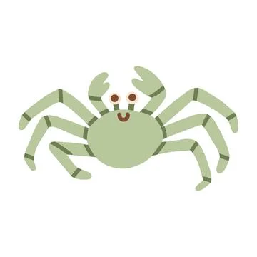 Cute green crab character vector illustration with claws and long legs. Ocean Stock Illustration