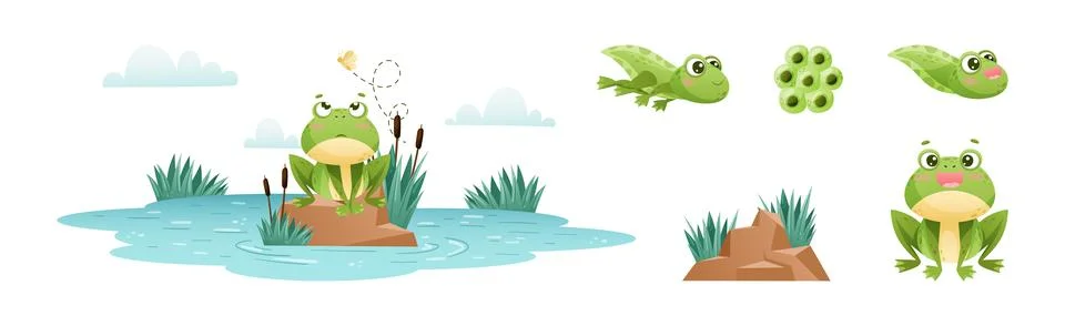 Cute Green Frog or Toad Character with Folded Limbs Vector Set Stockillustratie
